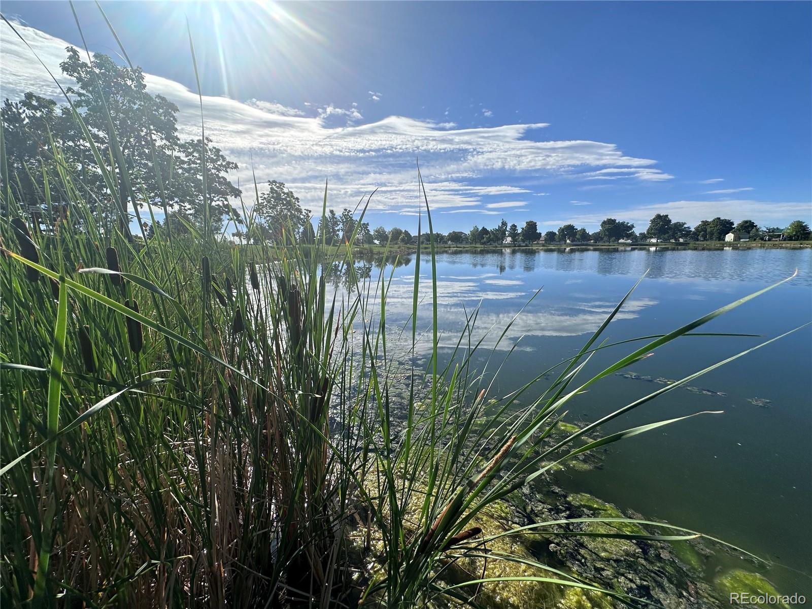 MLS Image #39 for 1616  104th avenue place,greeley, Colorado