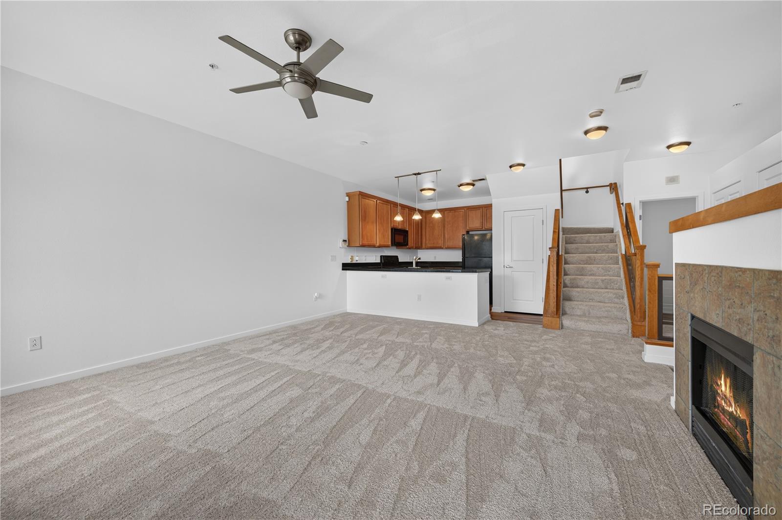 MLS Image #5 for 4100  albion street 305,denver, Colorado