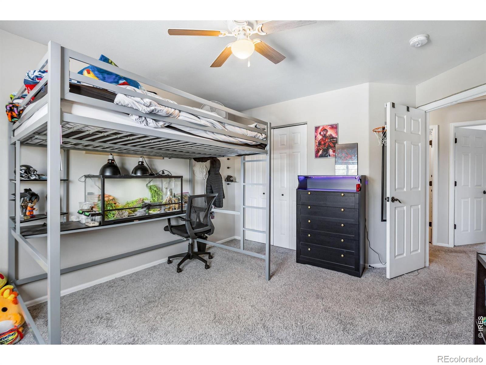 MLS Image #20 for 404  prairie clover way,severance, Colorado