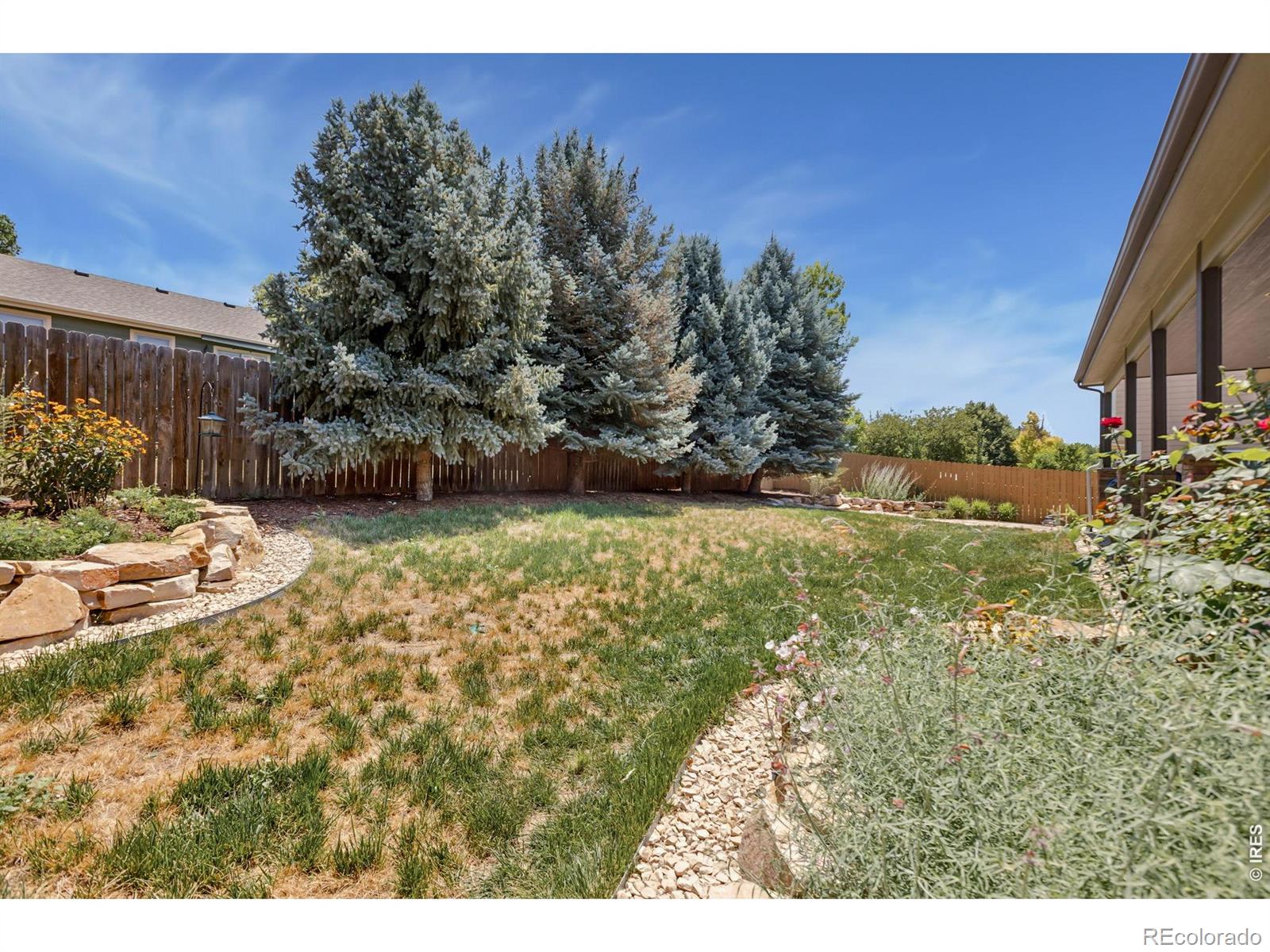 MLS Image #37 for 404  prairie clover way,severance, Colorado