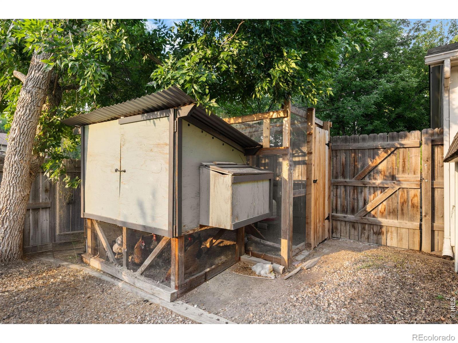 MLS Image #36 for 4113  lost creek court,fort collins, Colorado