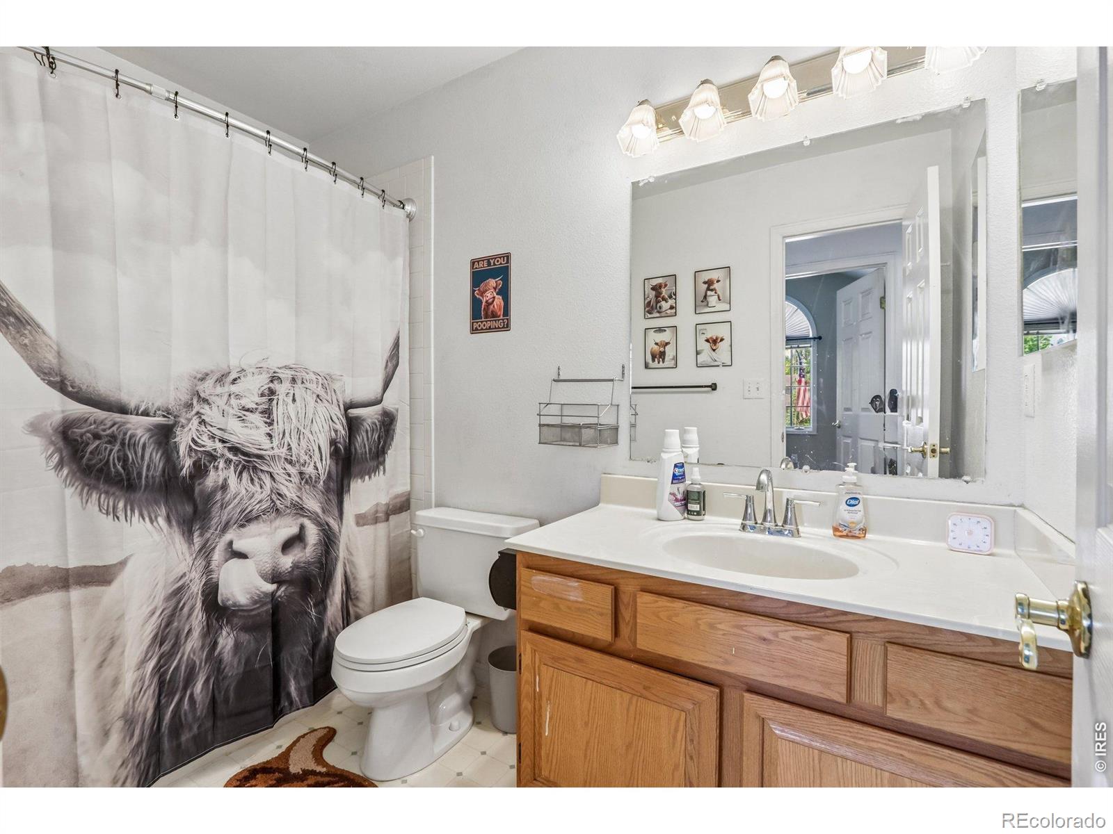 MLS Image #23 for 1310  1st street,eaton, Colorado