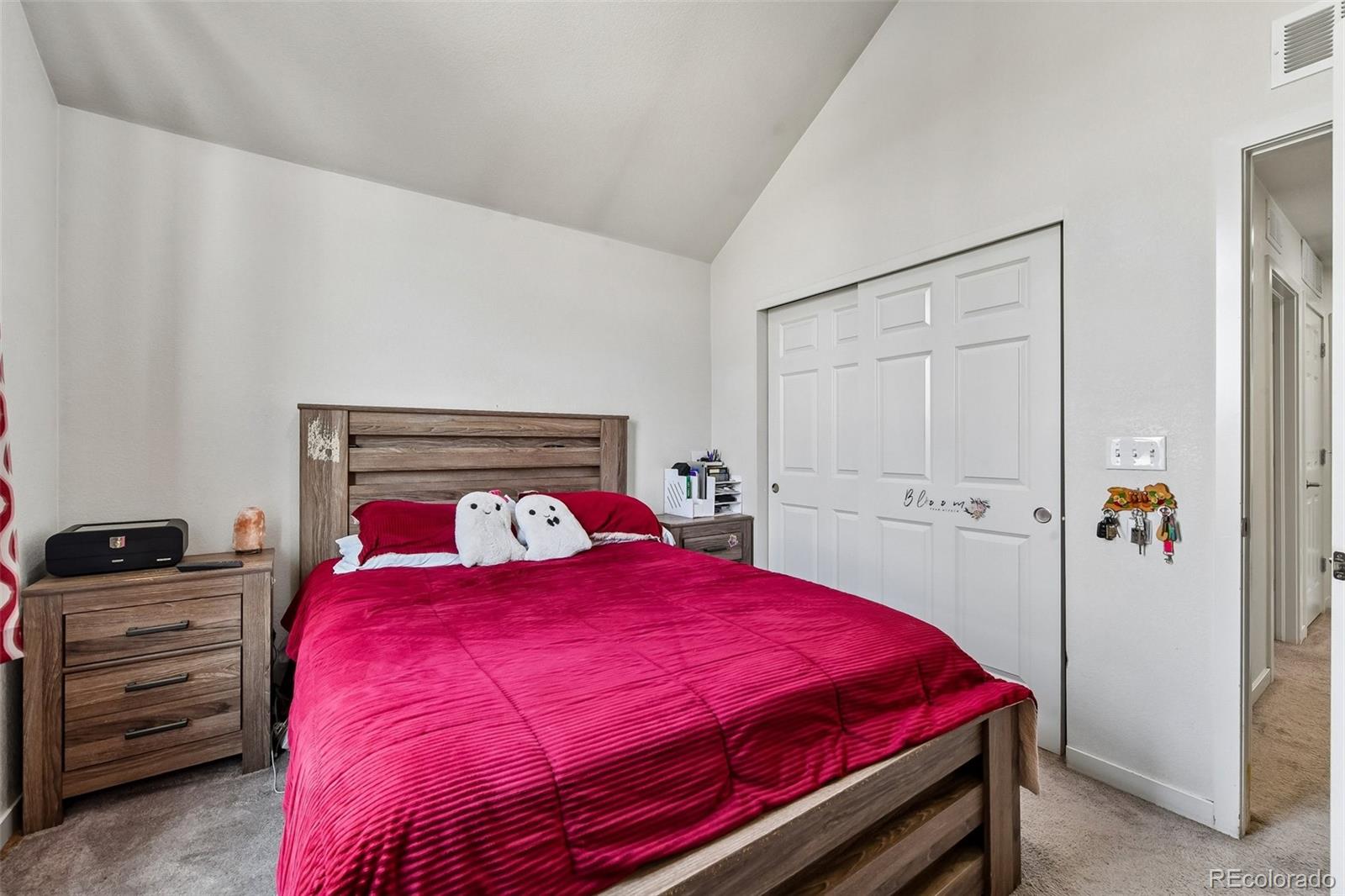 MLS Image #13 for 5037  central park boulevard,denver, Colorado