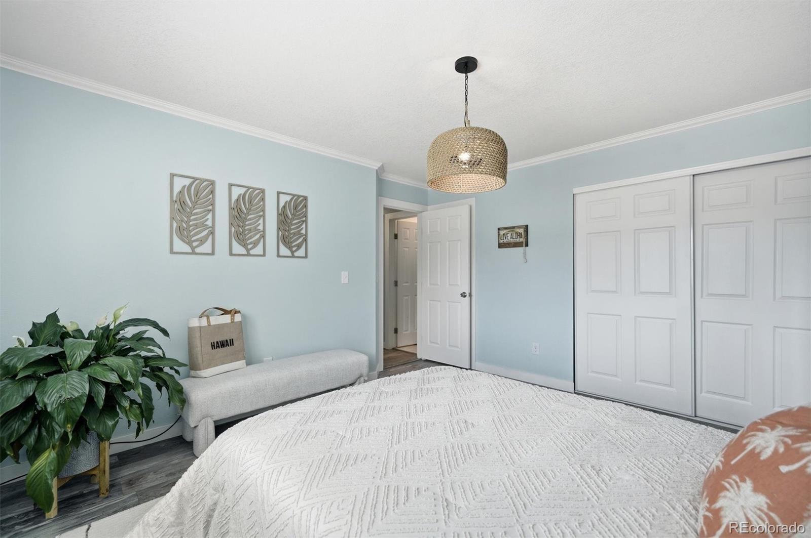 MLS Image #18 for 6425  nassau court,highlands ranch, Colorado
