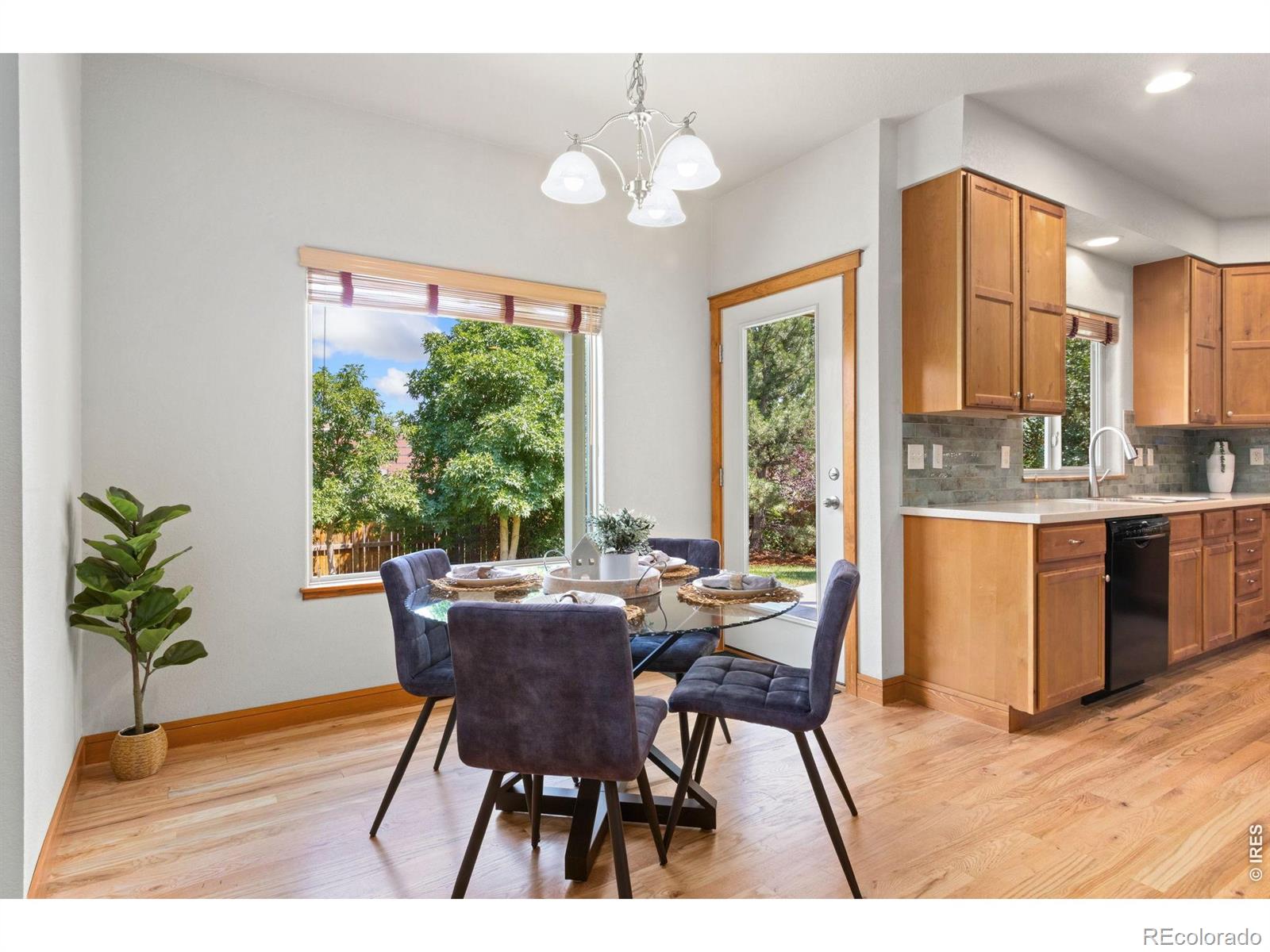 MLS Image #10 for 4226  rolling gate road,fort collins, Colorado
