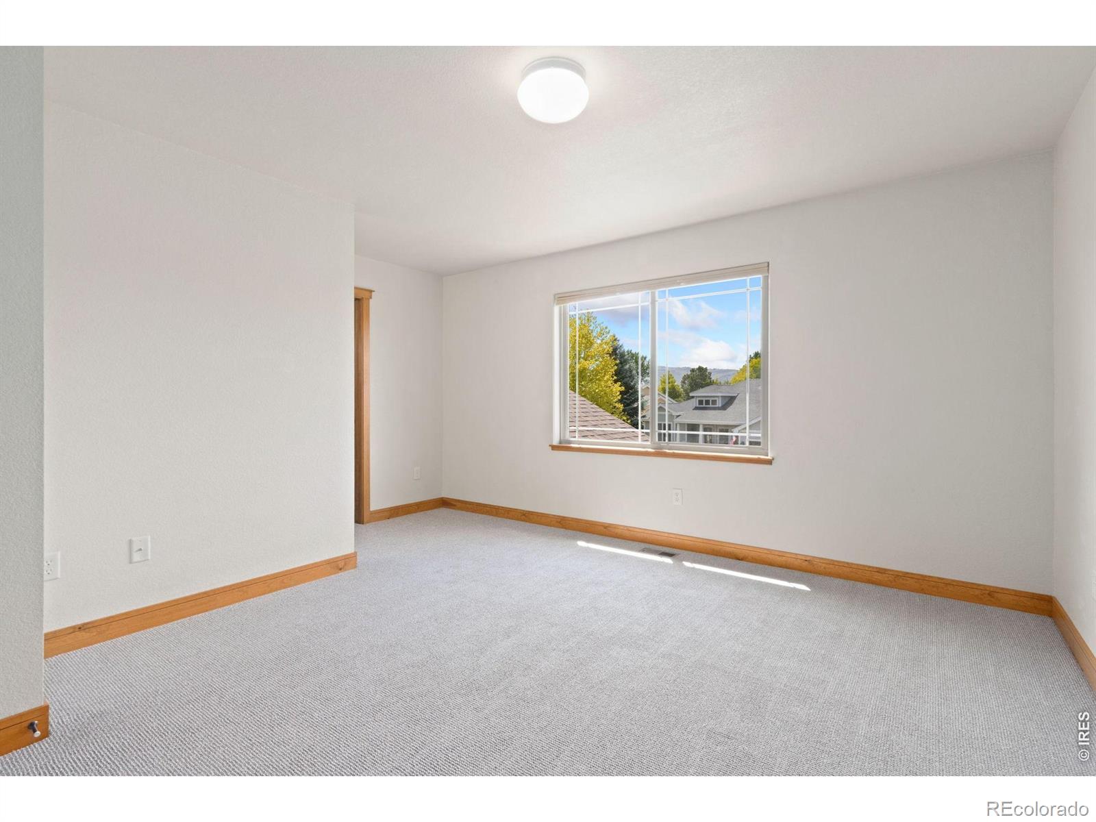 MLS Image #20 for 4226  rolling gate road,fort collins, Colorado