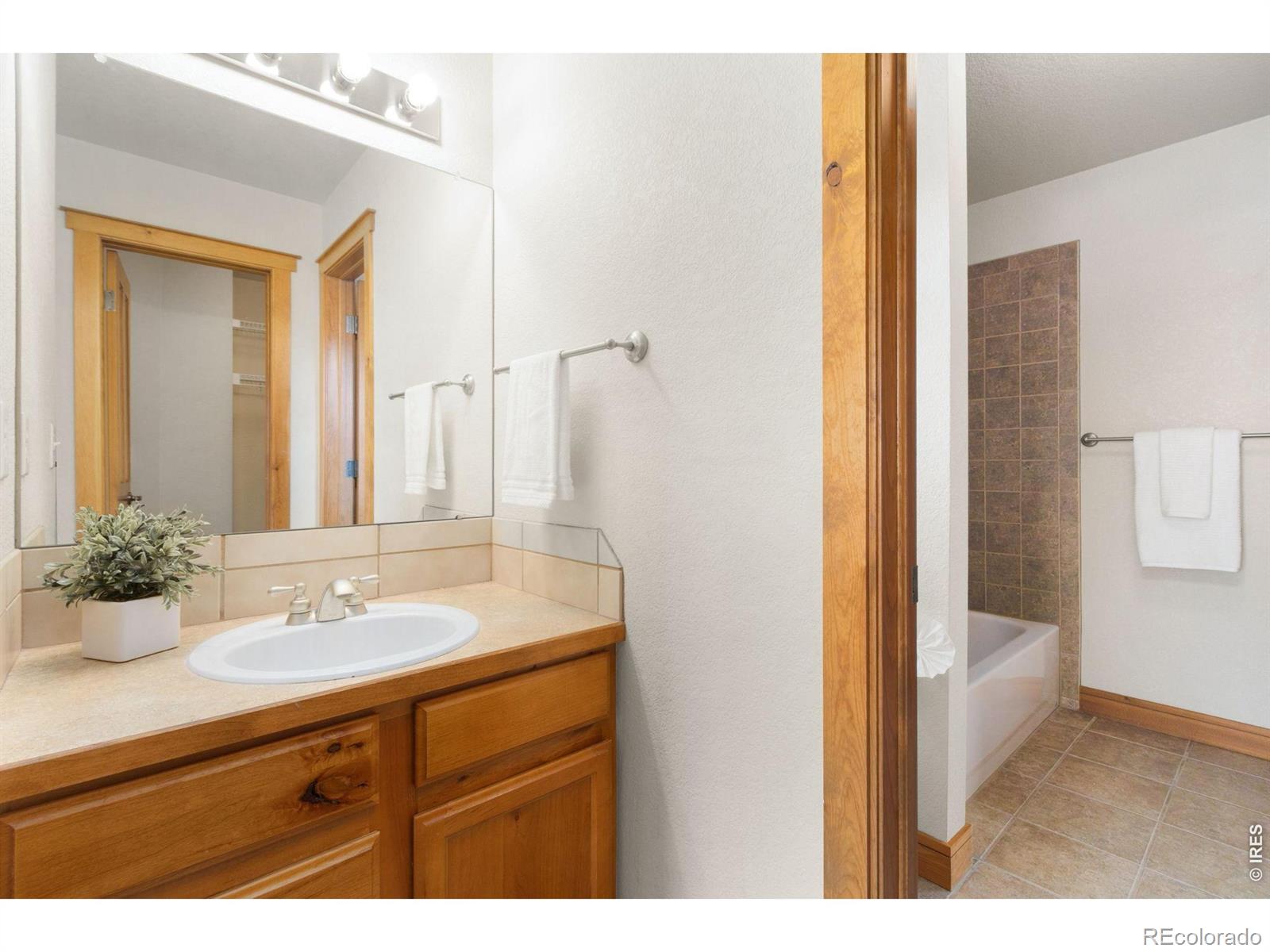 MLS Image #21 for 4226  rolling gate road,fort collins, Colorado