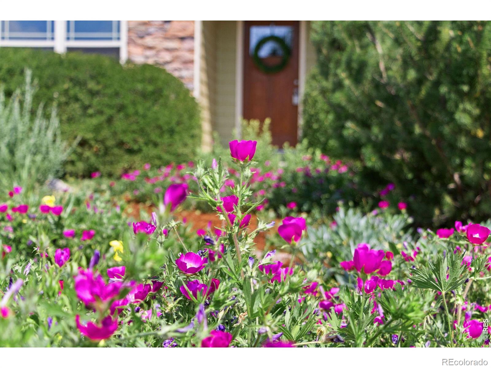 MLS Image #35 for 4226  rolling gate road,fort collins, Colorado