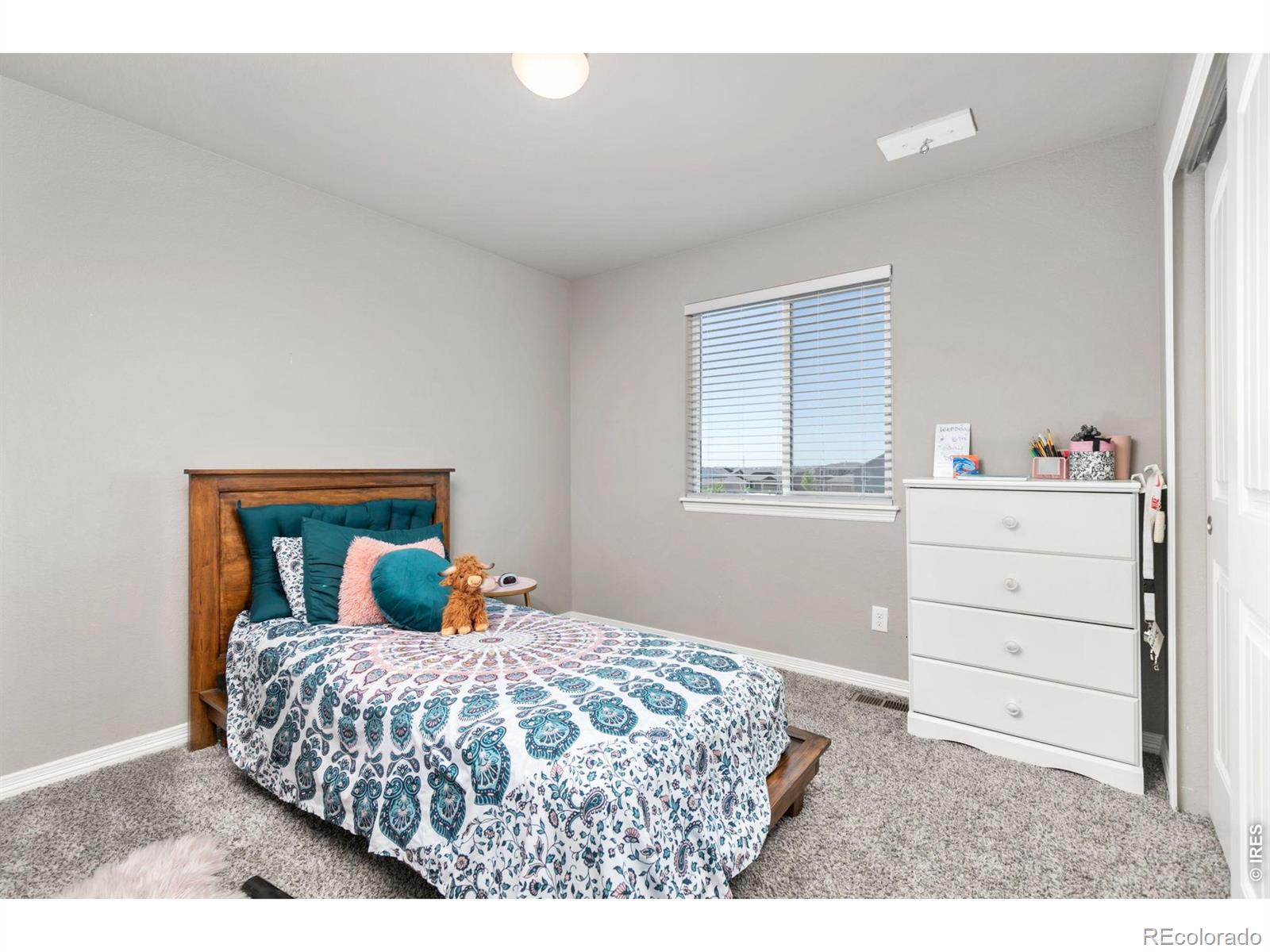 MLS Image #17 for 1383  copeland falls road,severance, Colorado