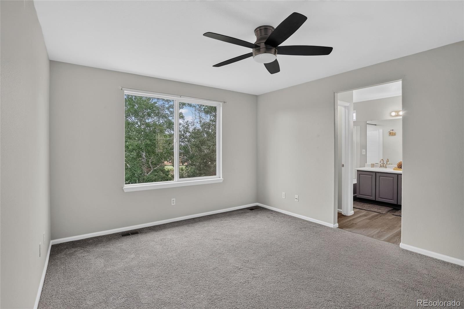 MLS Image #14 for 11421  ebony street,longmont, Colorado