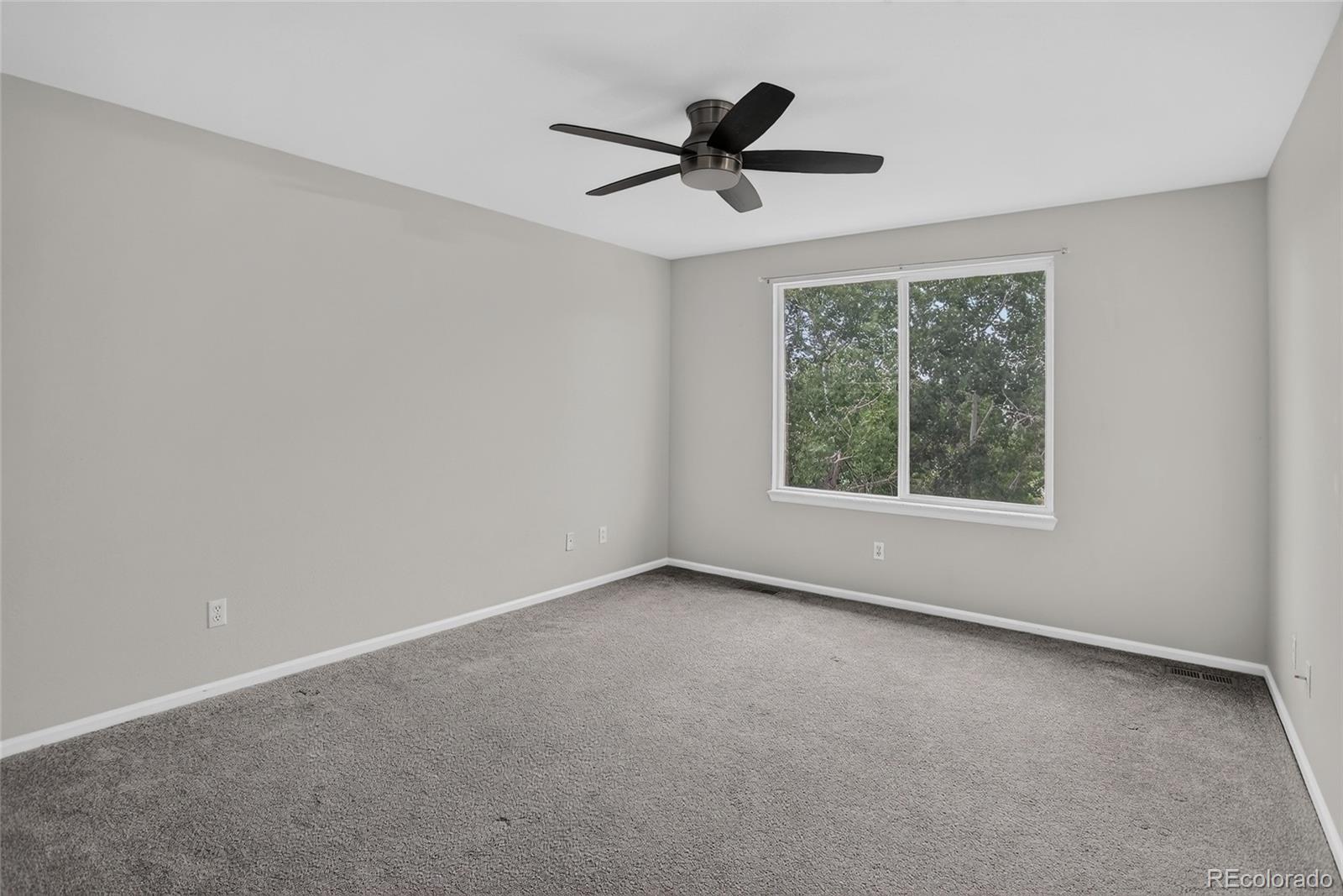 MLS Image #15 for 11421  ebony street,longmont, Colorado