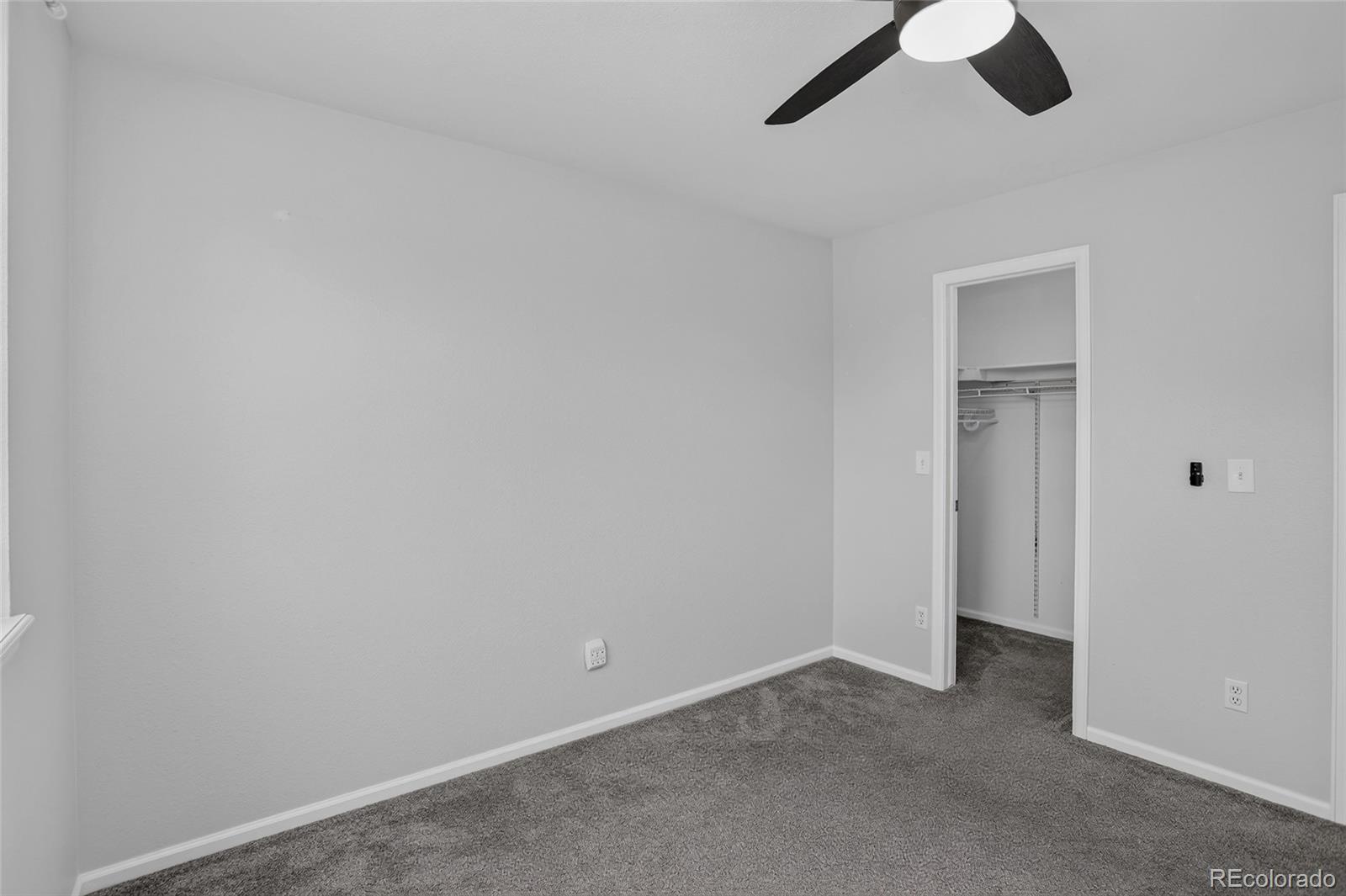 MLS Image #22 for 11421  ebony street,longmont, Colorado