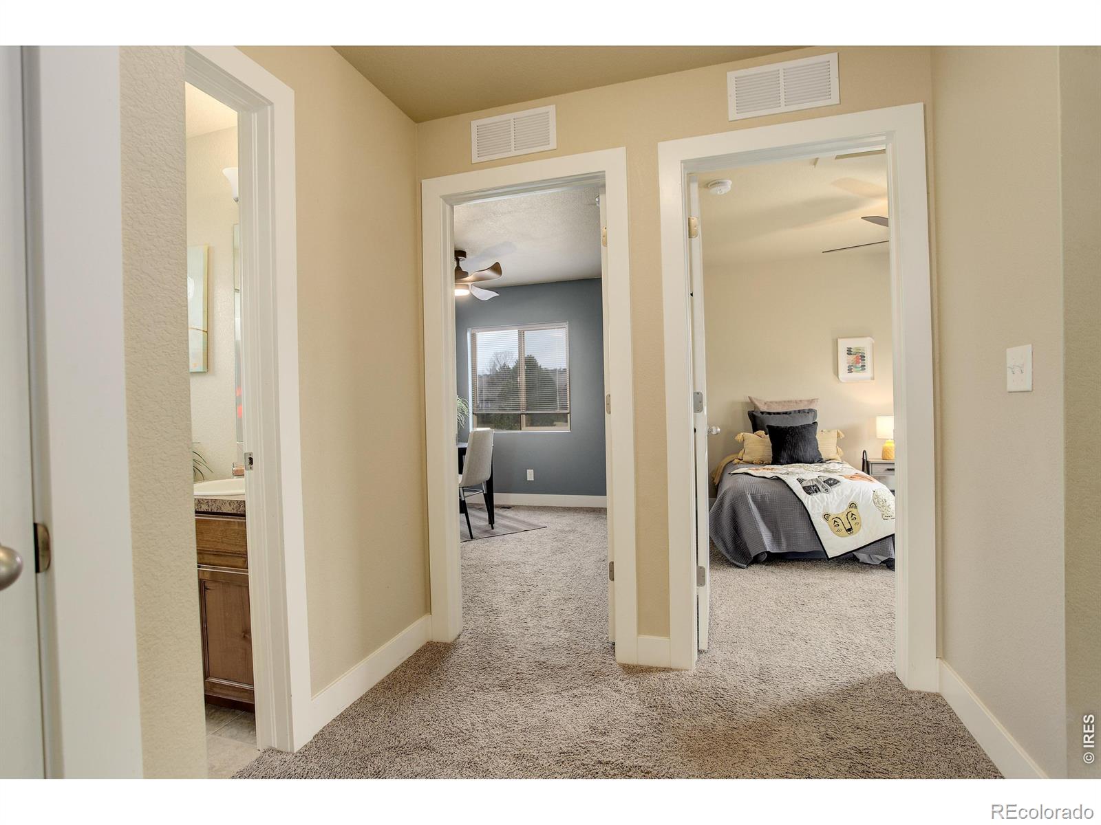 MLS Image #15 for 3441  foster place,loveland, Colorado