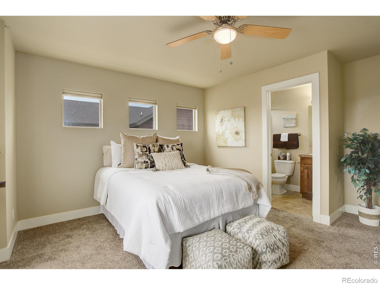MLS Image #16 for 3441  foster place,loveland, Colorado