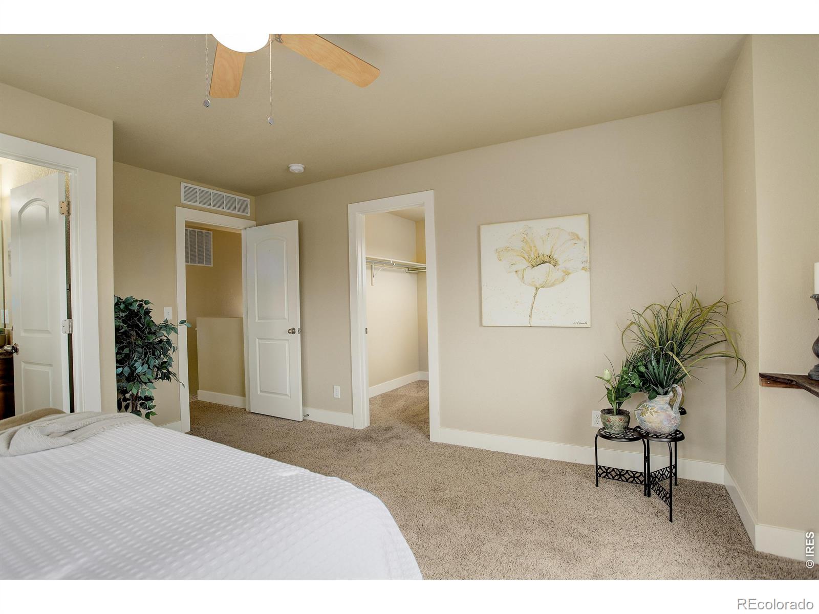 MLS Image #18 for 3441  foster place,loveland, Colorado