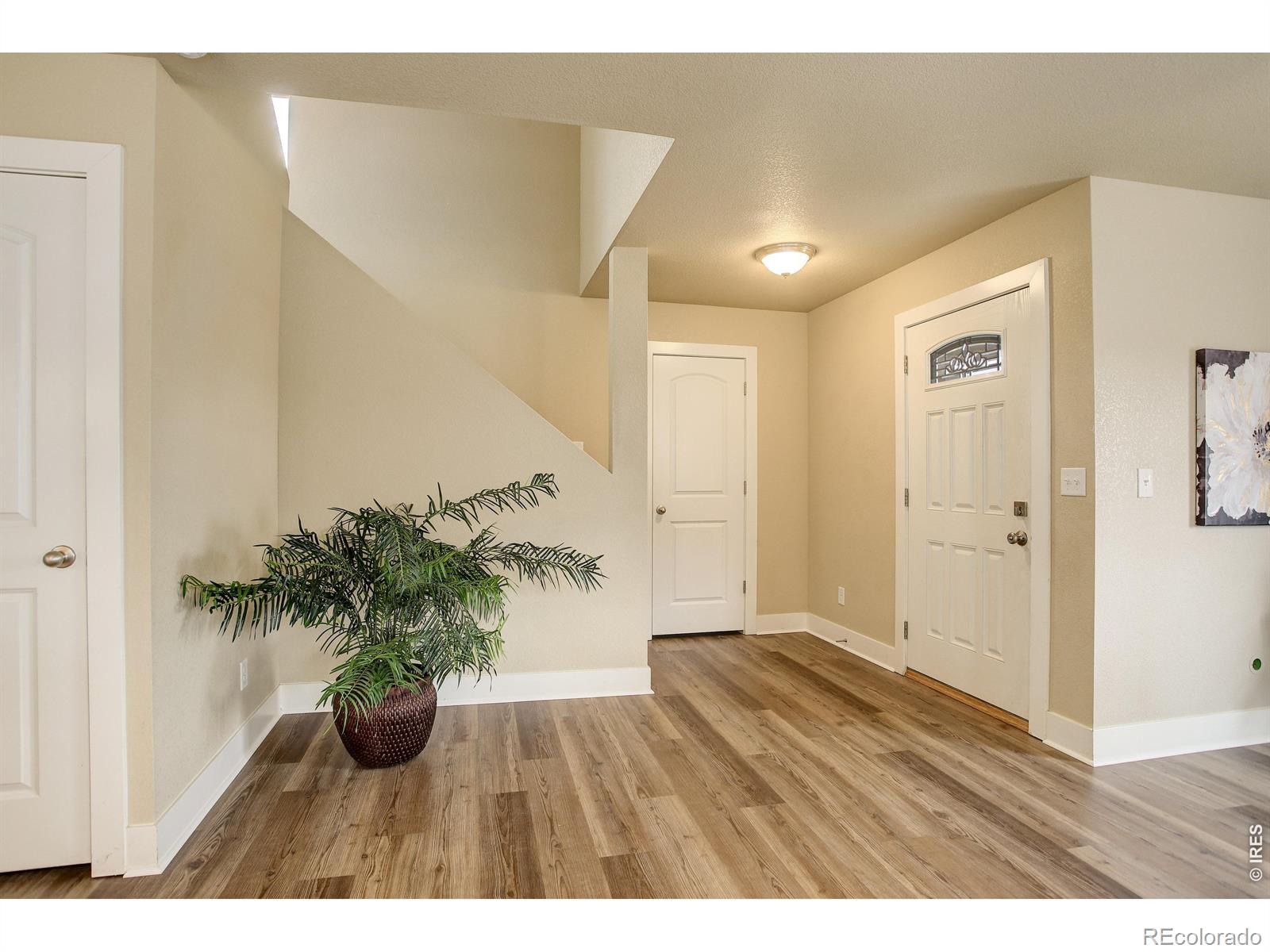 MLS Image #4 for 3441  foster place,loveland, Colorado