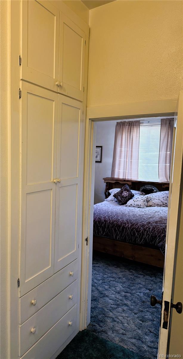 MLS Image #12 for 419  wood avenue,salida, Colorado