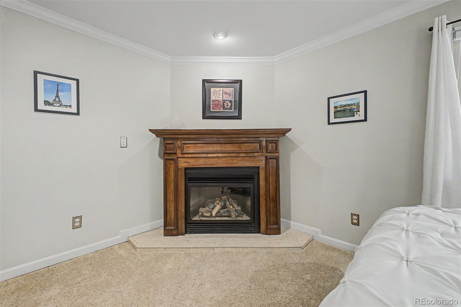 MLS Image #25 for 1023  meadow run,golden, Colorado