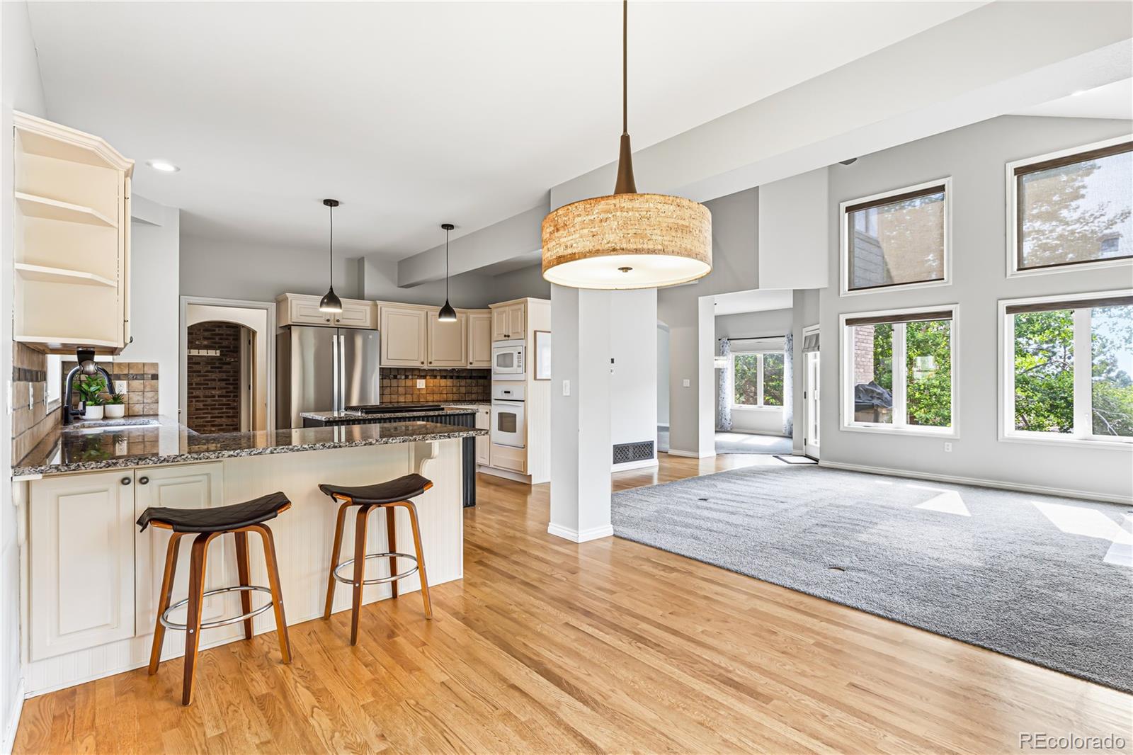 MLS Image #10 for 8587  thunderbird road,parker, Colorado