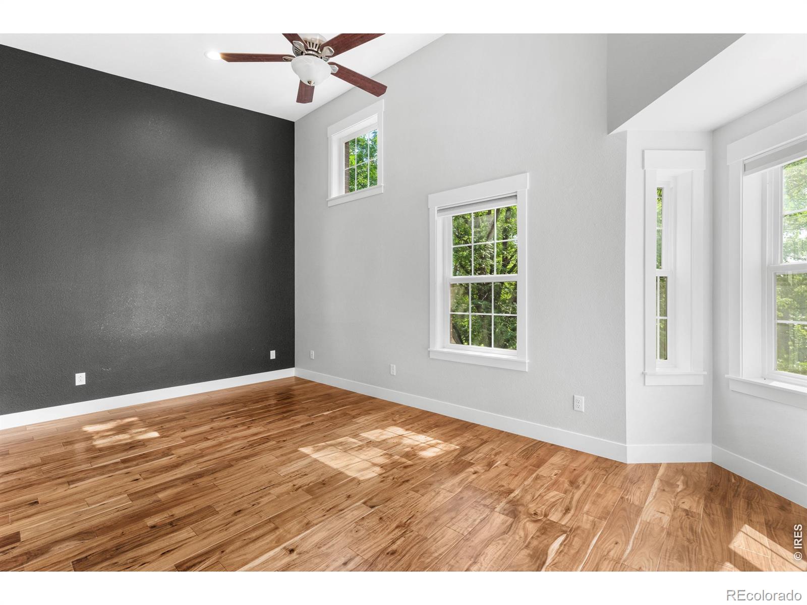MLS Image #12 for 401  terry street,longmont, Colorado
