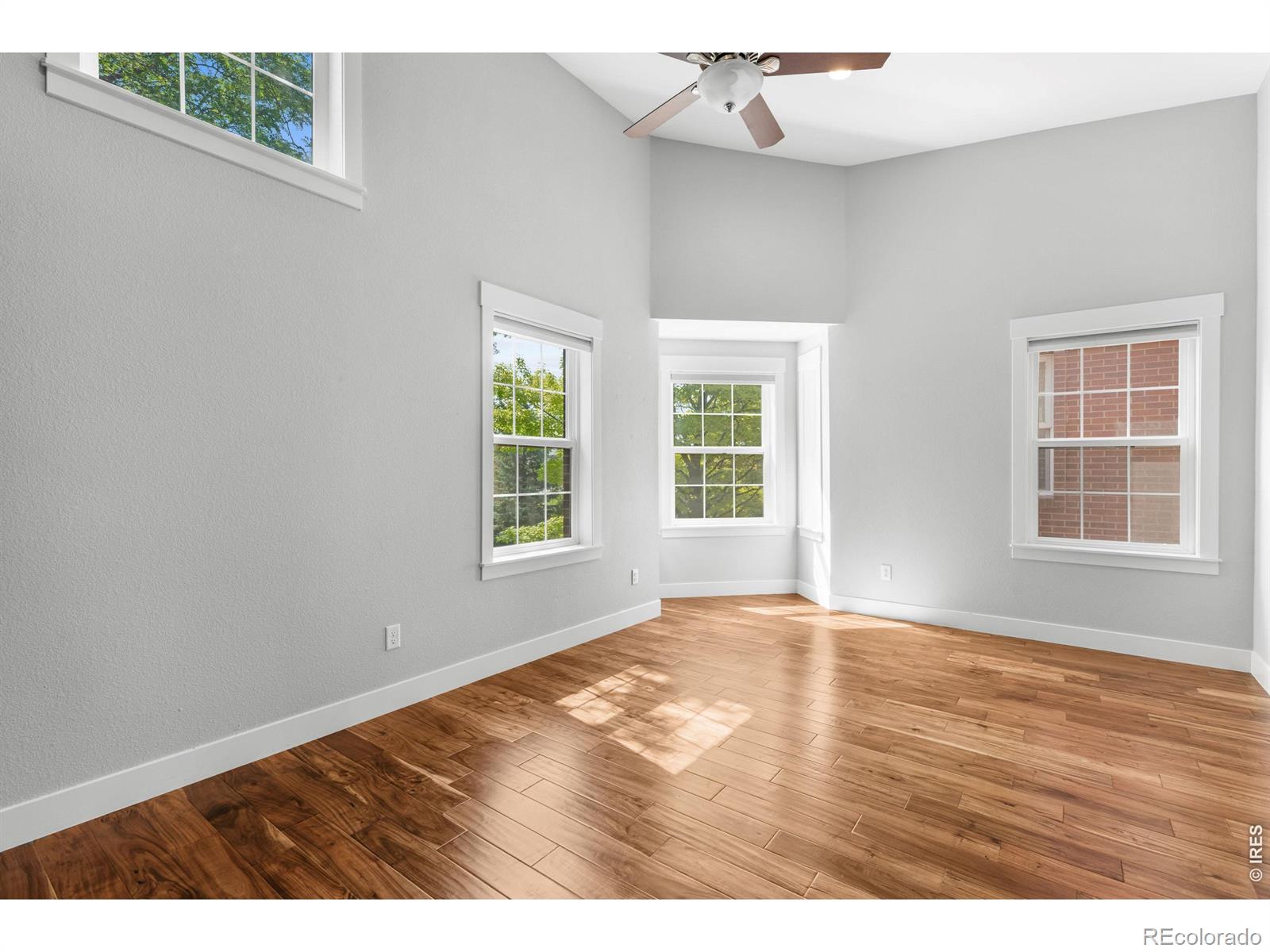 MLS Image #13 for 401  terry street,longmont, Colorado