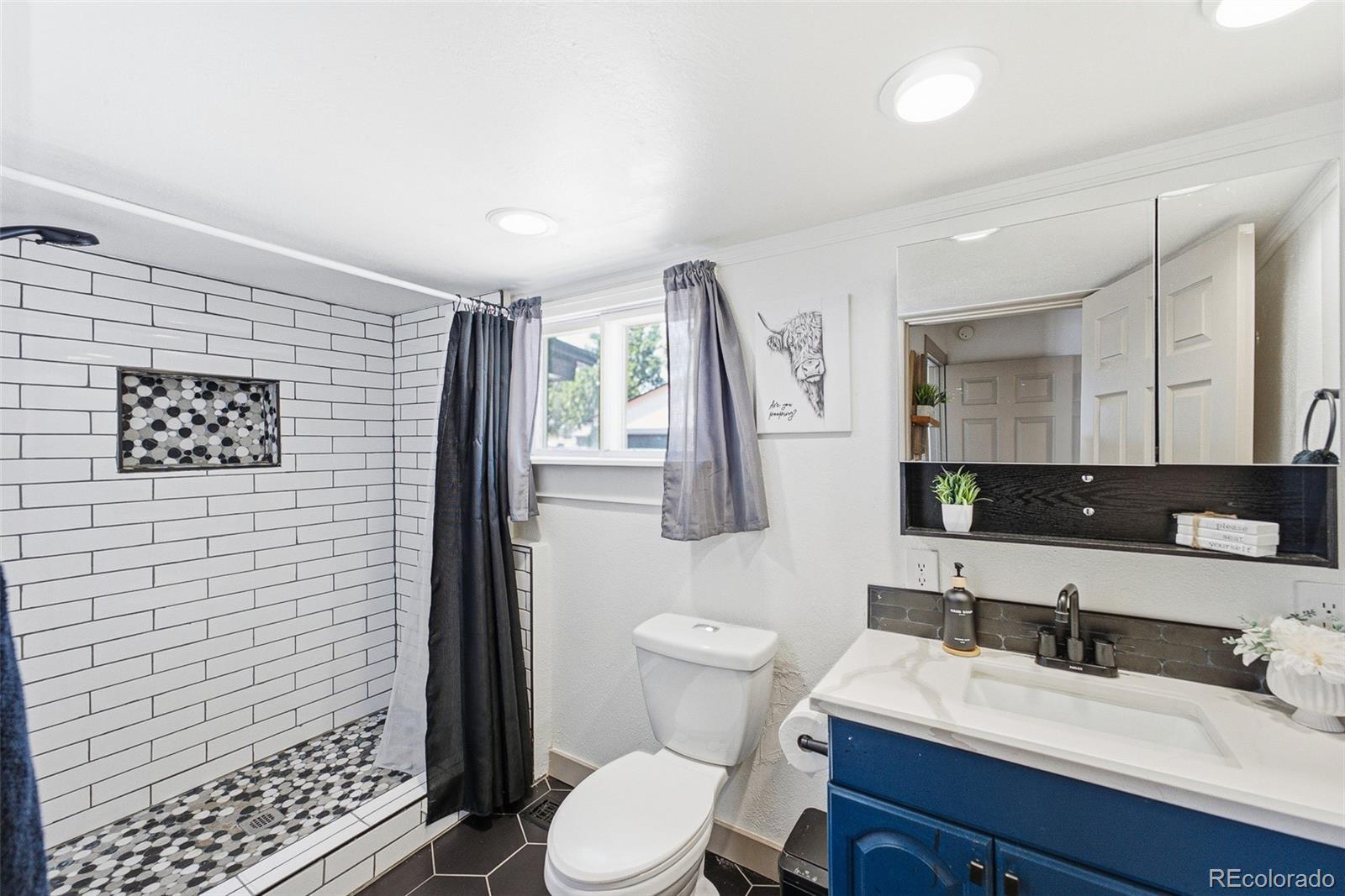 MLS Image #9 for 263 s fetzer street,byers, Colorado