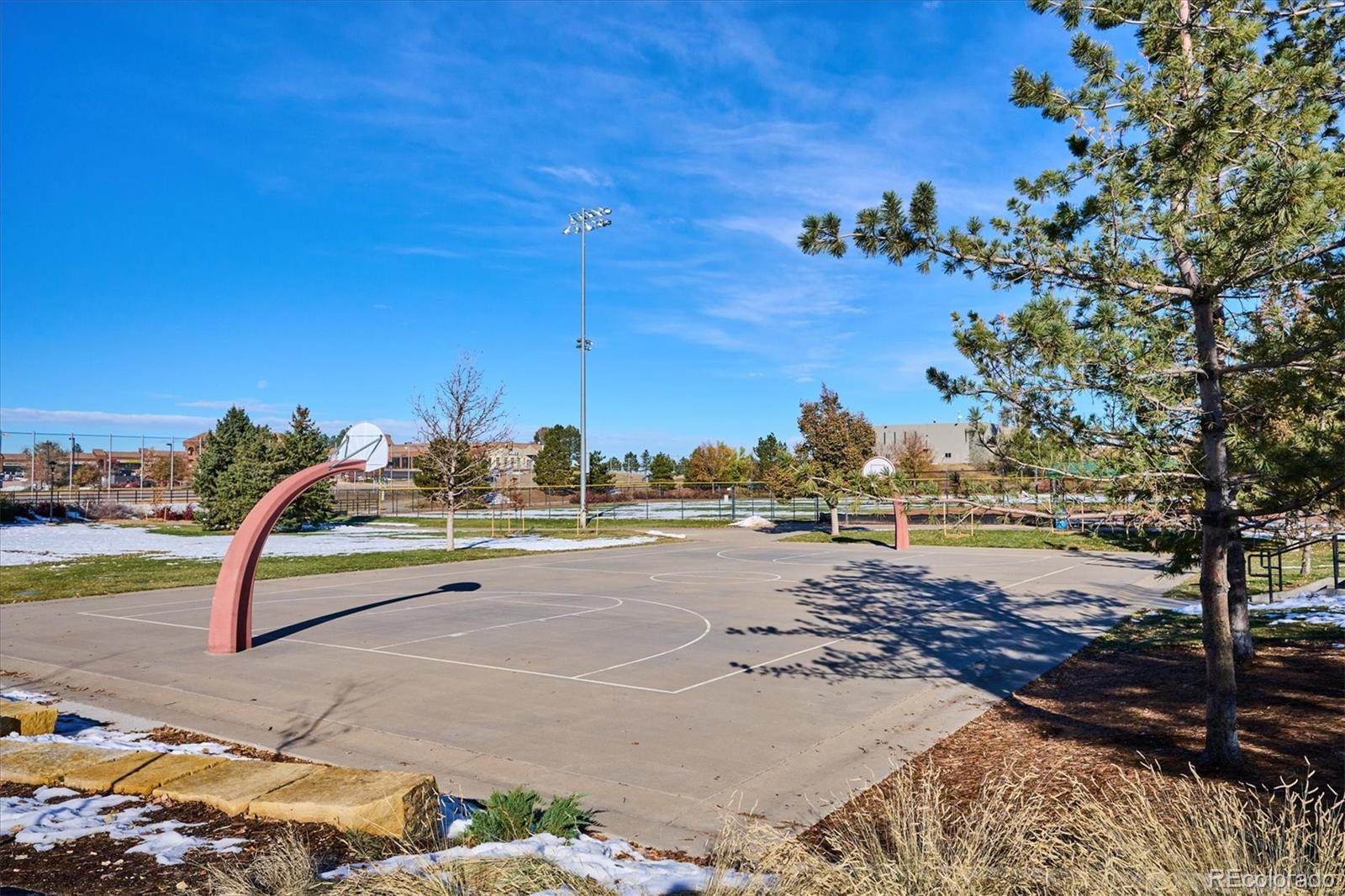 MLS Image #33 for 9283  twenty mile road 405,parker, Colorado