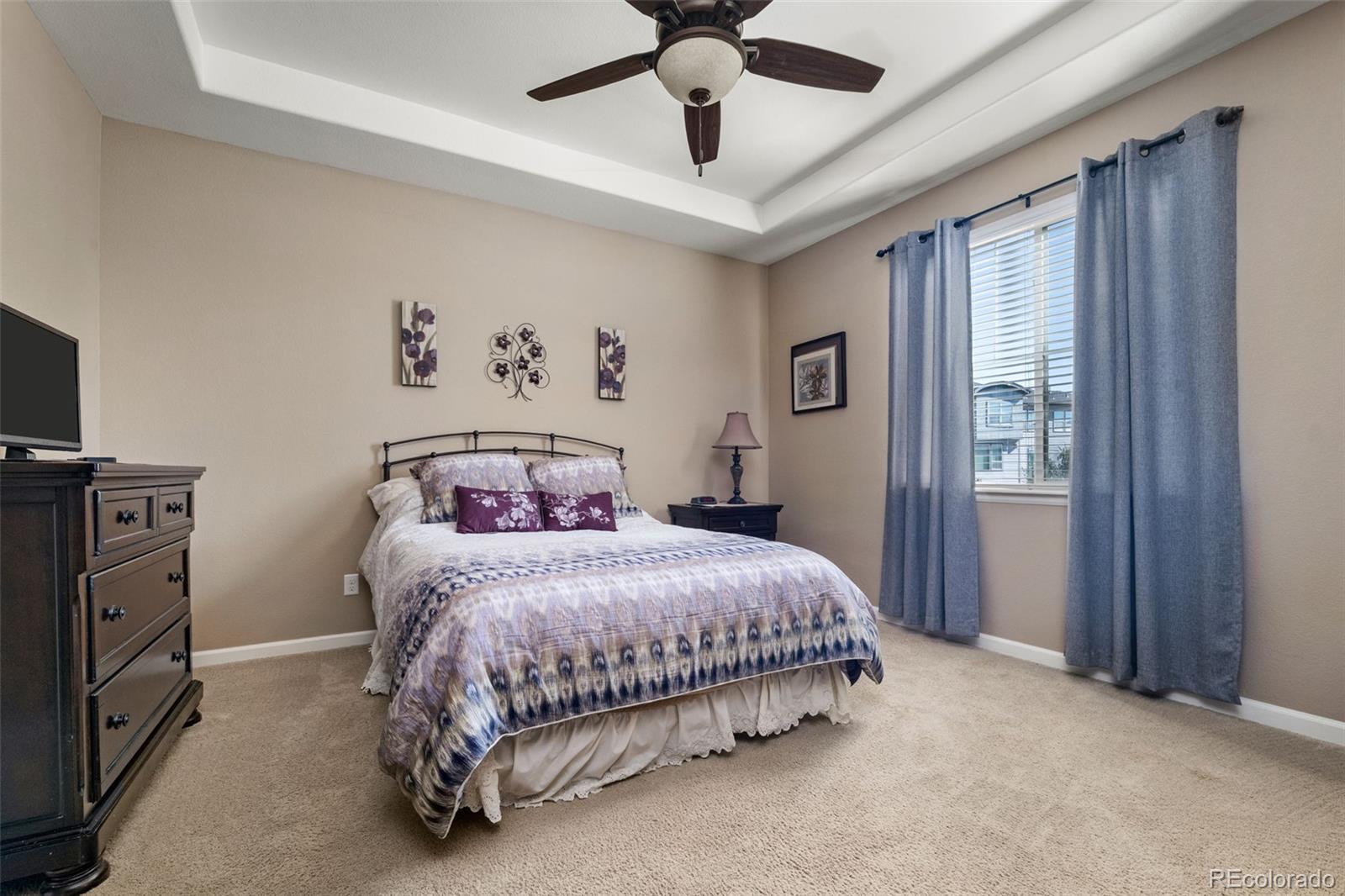 MLS Image #12 for 4455  hydrangea way,castle rock, Colorado
