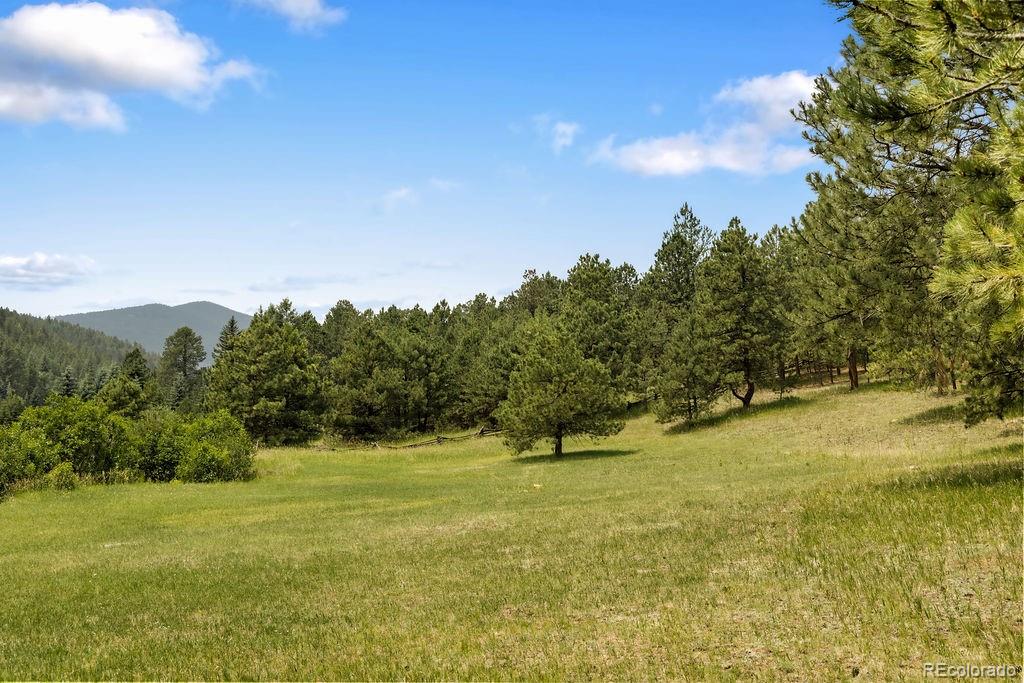 MLS Image #49 for 638  soda creek drive,evergreen, Colorado