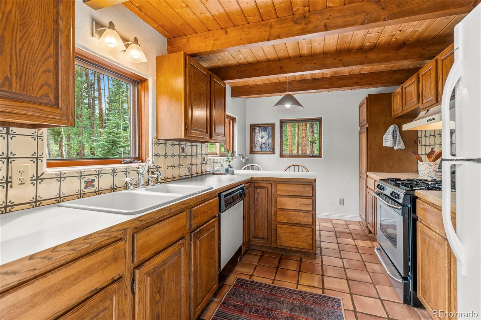 MLS Image #13 for 22  glory hole drive,breckenridge, Colorado