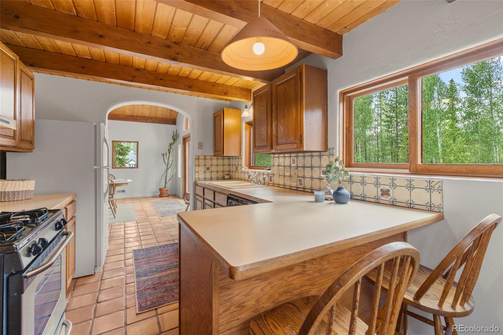 MLS Image #15 for 22  glory hole drive,breckenridge, Colorado
