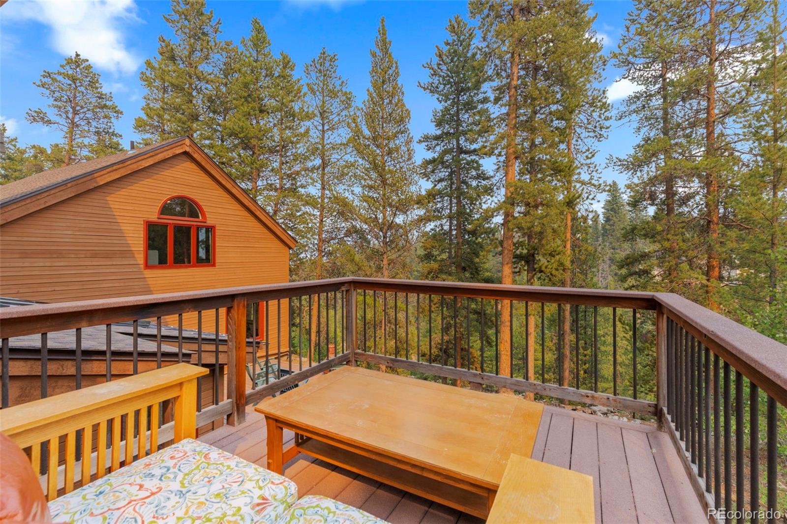 MLS Image #19 for 22  glory hole drive,breckenridge, Colorado