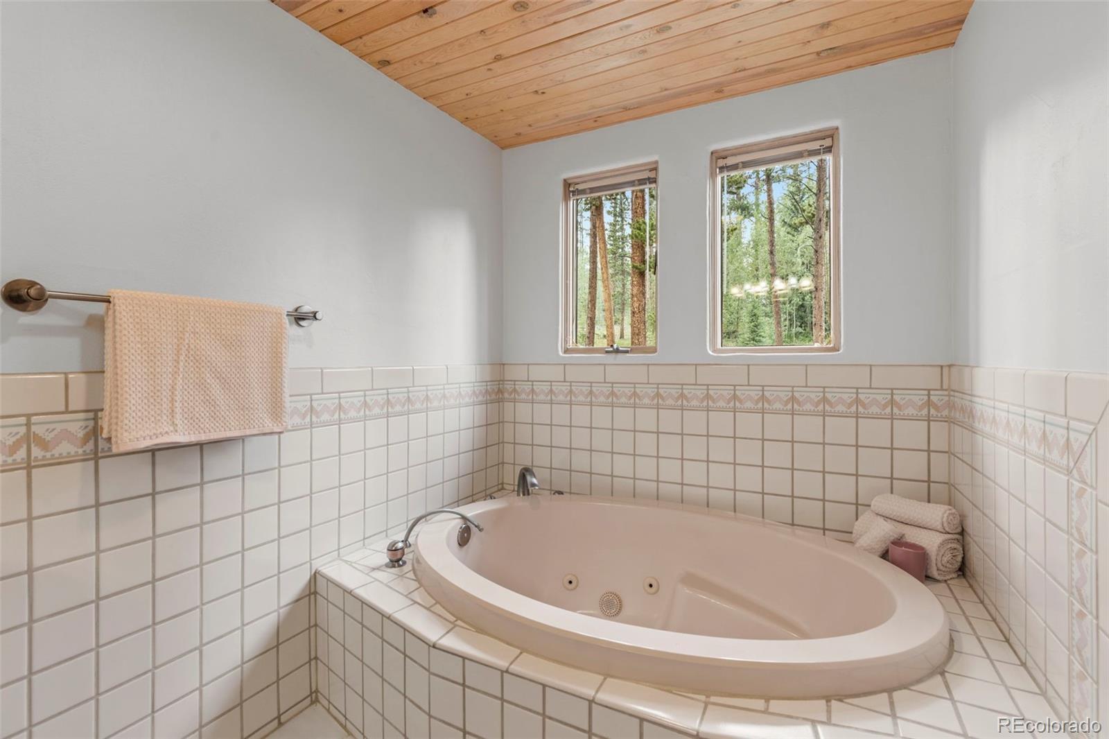MLS Image #26 for 22  glory hole drive,breckenridge, Colorado
