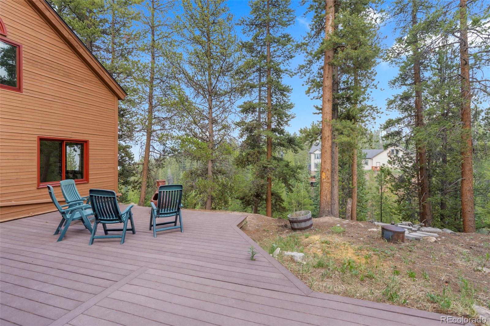 MLS Image #48 for 22  glory hole drive,breckenridge, Colorado