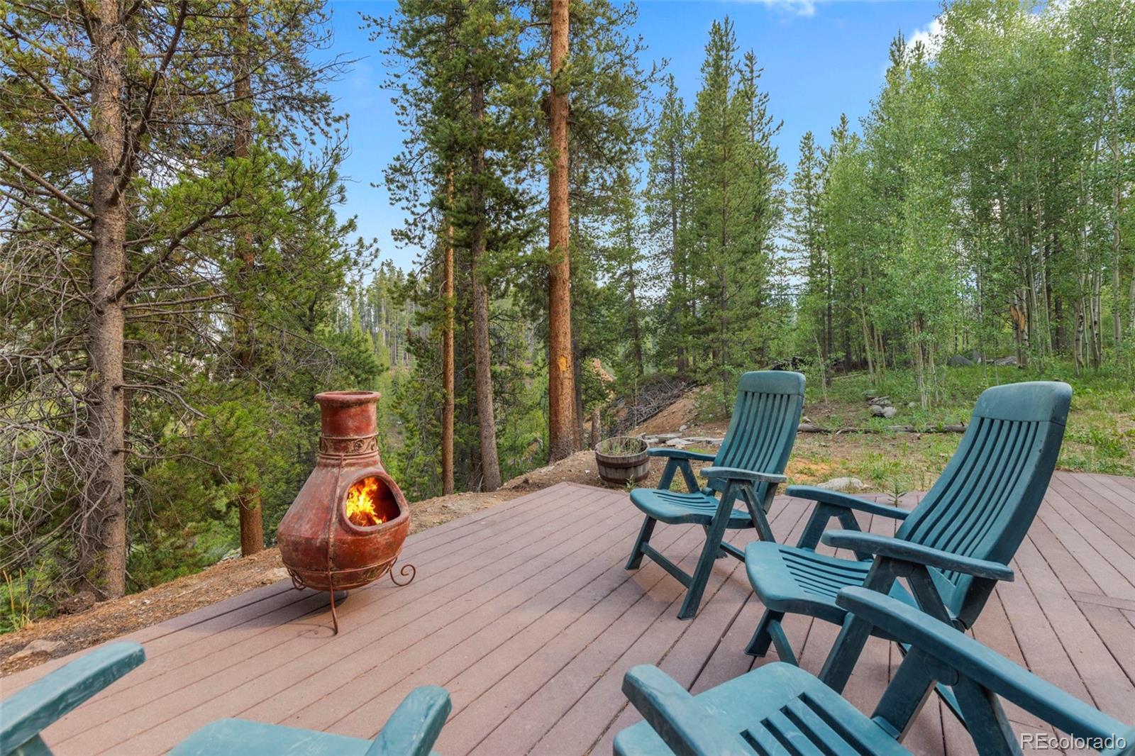 MLS Image #49 for 22  glory hole drive,breckenridge, Colorado
