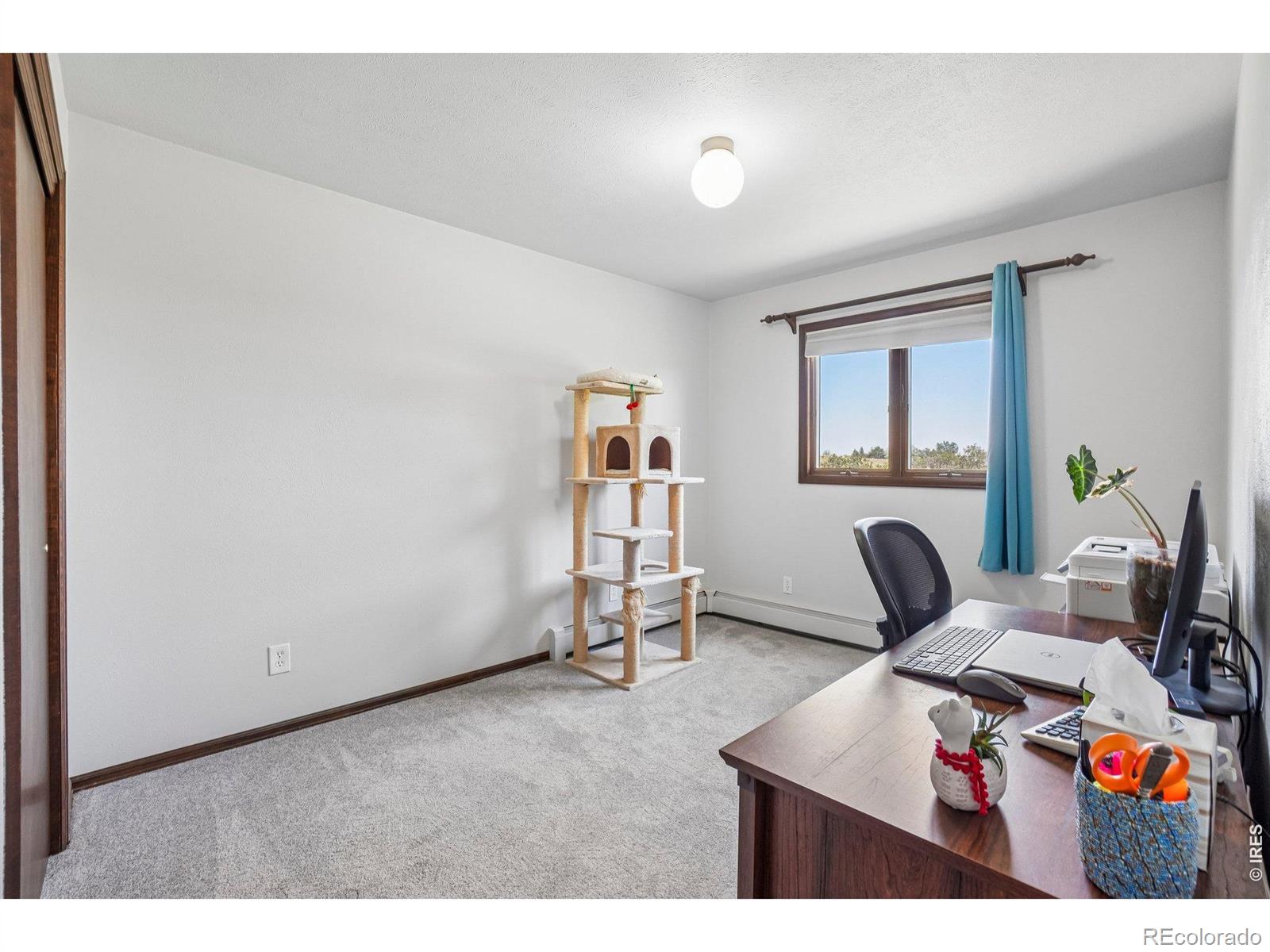 MLS Image #13 for 7984  ouray drive,longmont, Colorado
