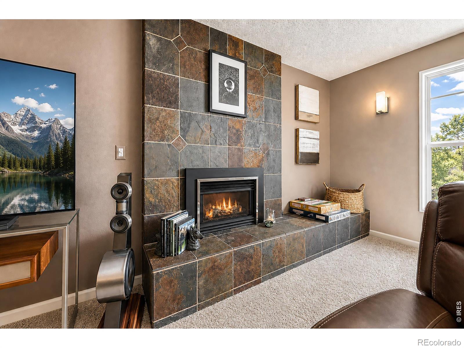 MLS Image #21 for 2685  beech circle,longmont, Colorado