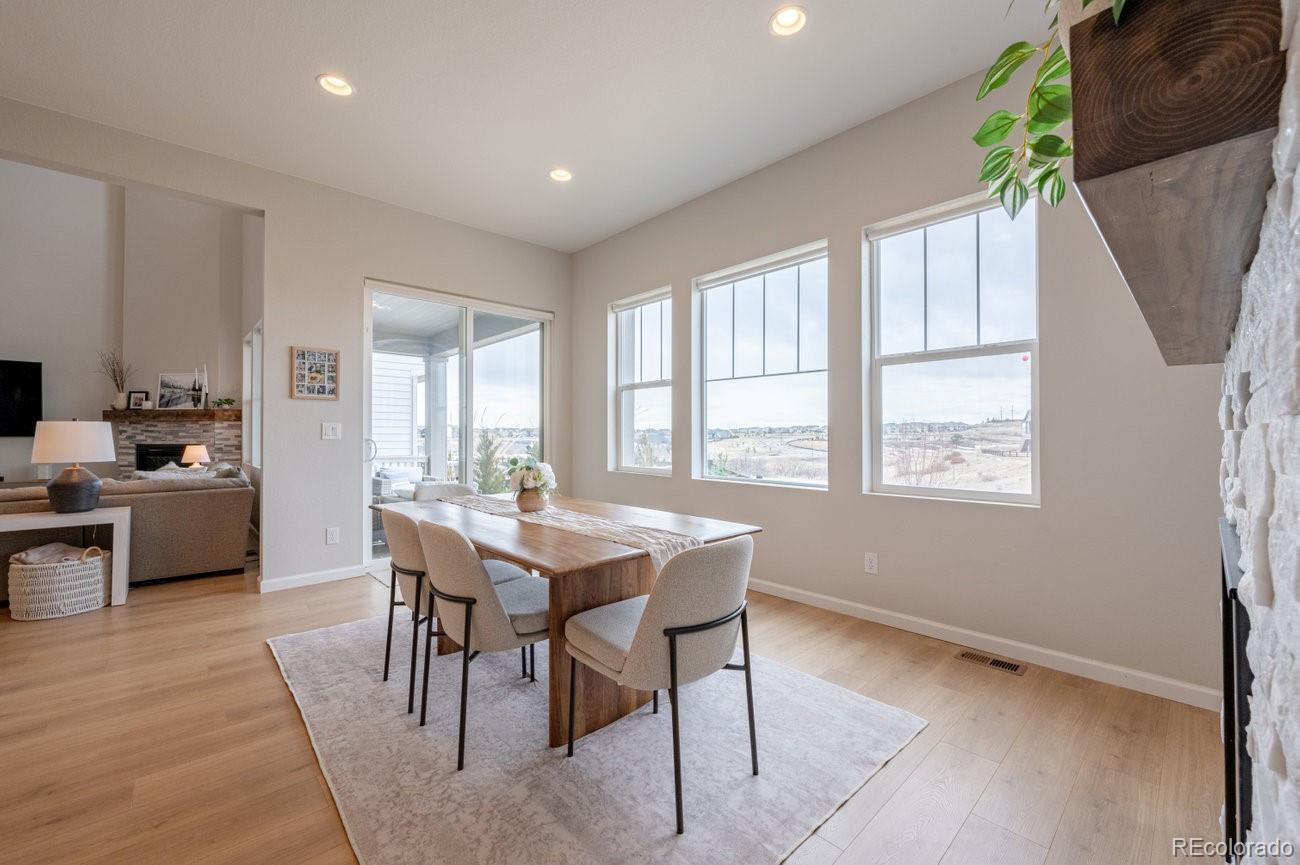 MLS Image #19 for 3008  blithe point,castle rock, Colorado