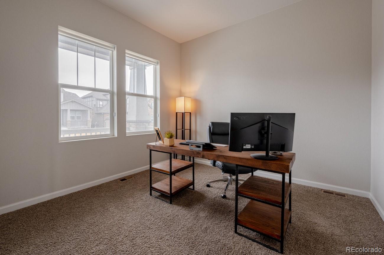 MLS Image #23 for 3008  blithe point,castle rock, Colorado
