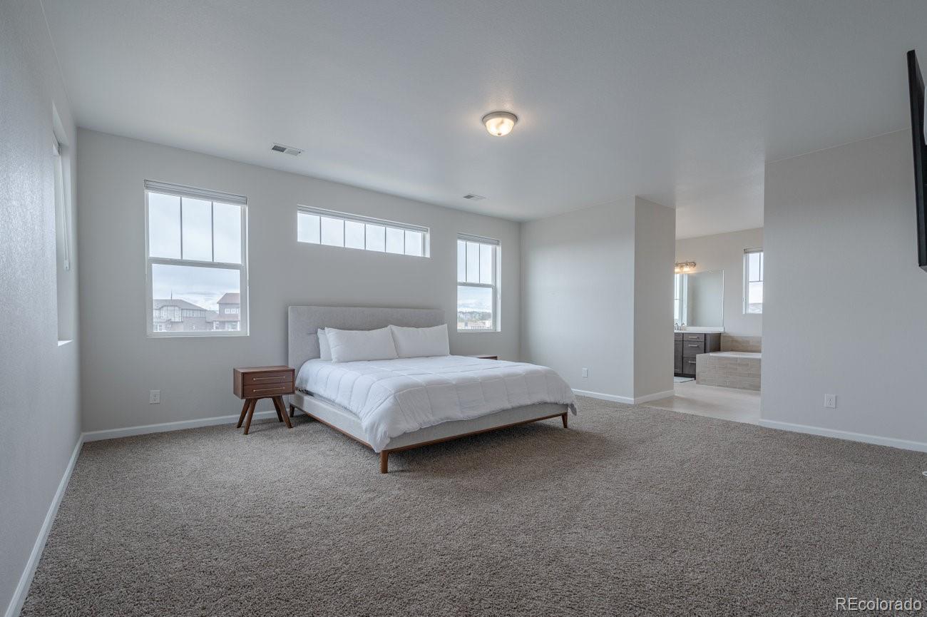 MLS Image #26 for 3008  blithe point,castle rock, Colorado