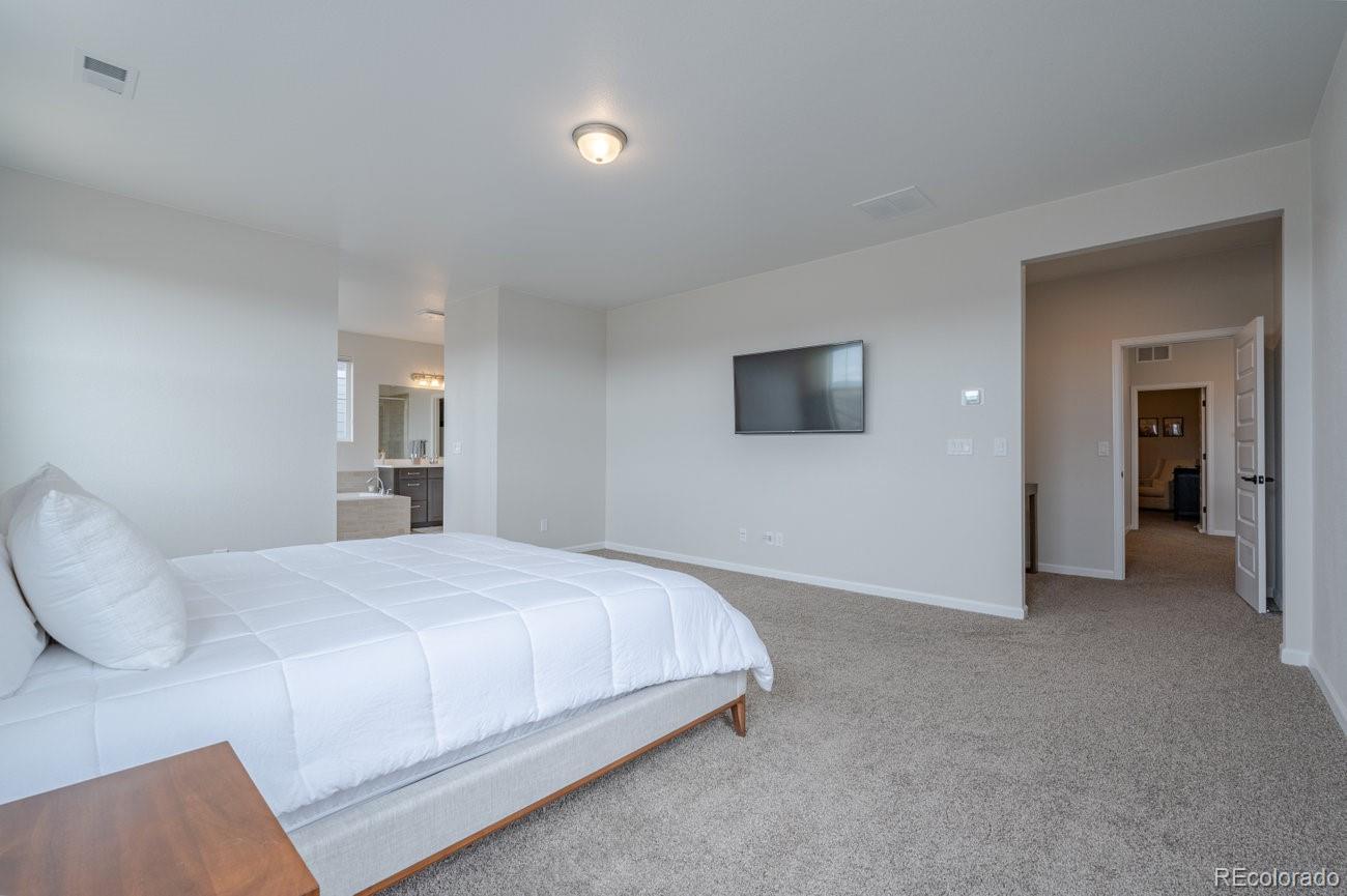MLS Image #27 for 3008  blithe point,castle rock, Colorado
