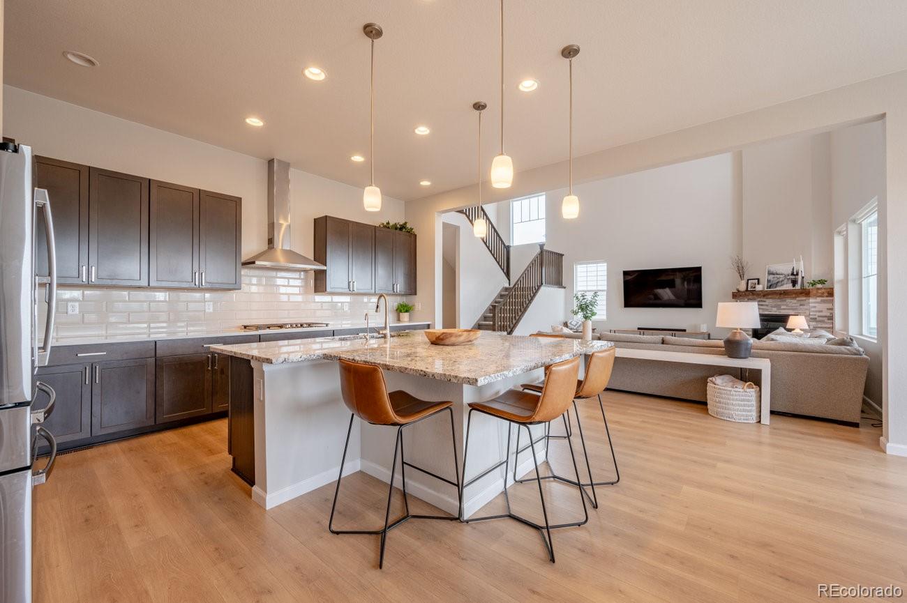 MLS Image #9 for 3008  blithe point,castle rock, Colorado