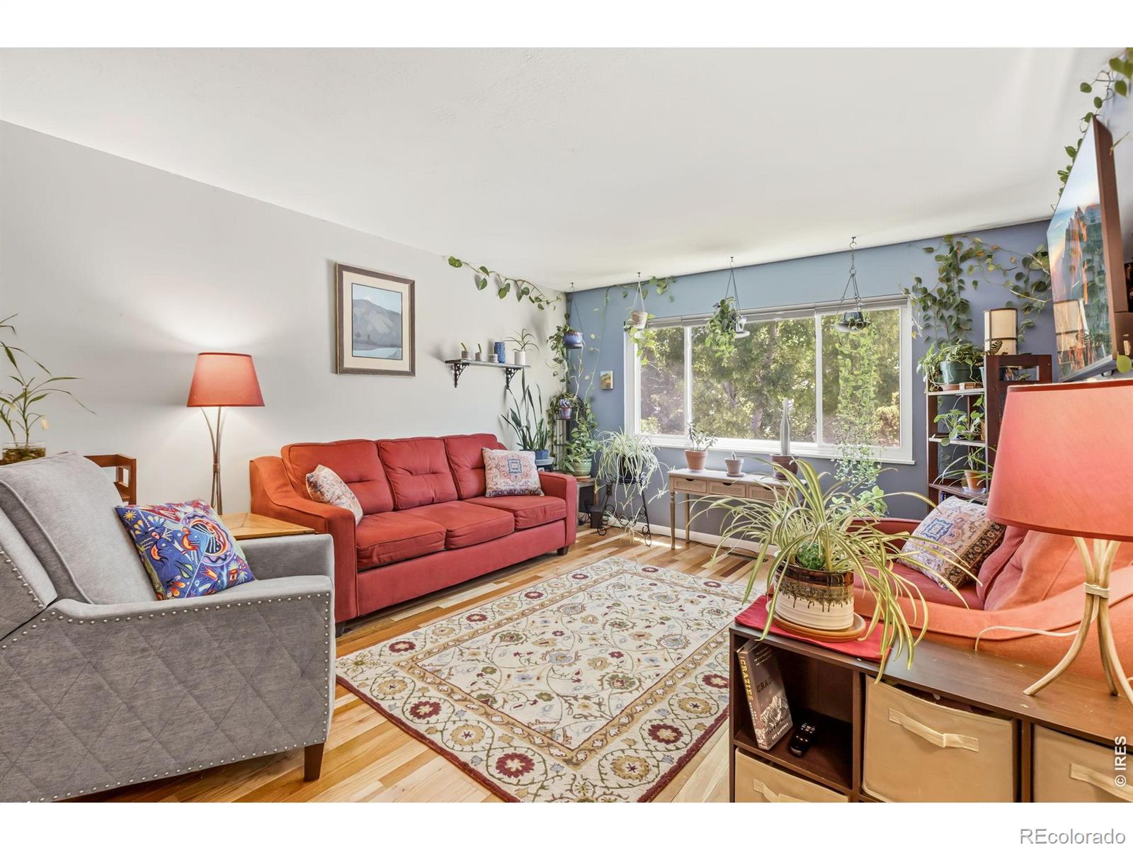 MLS Image #1 for 1017  cottonwood drive,windsor, Colorado
