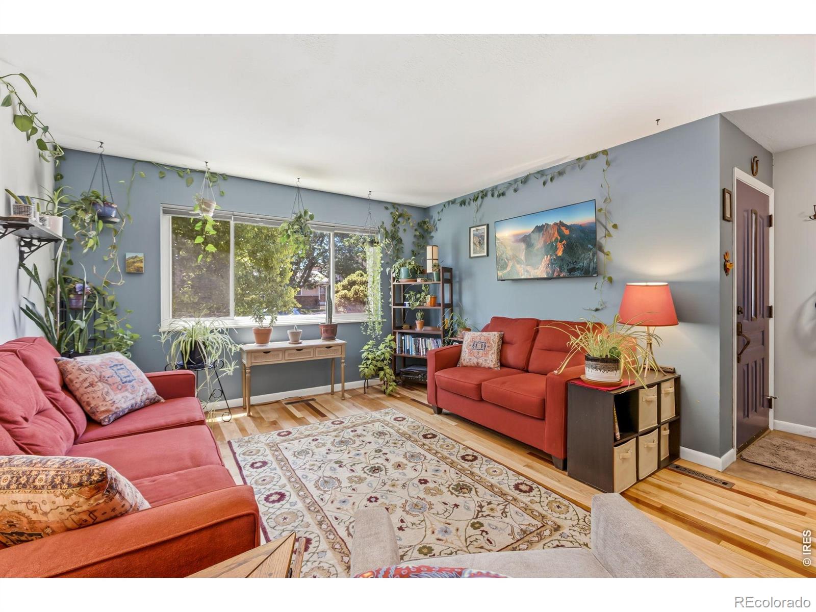 MLS Image #2 for 1017  cottonwood drive,windsor, Colorado