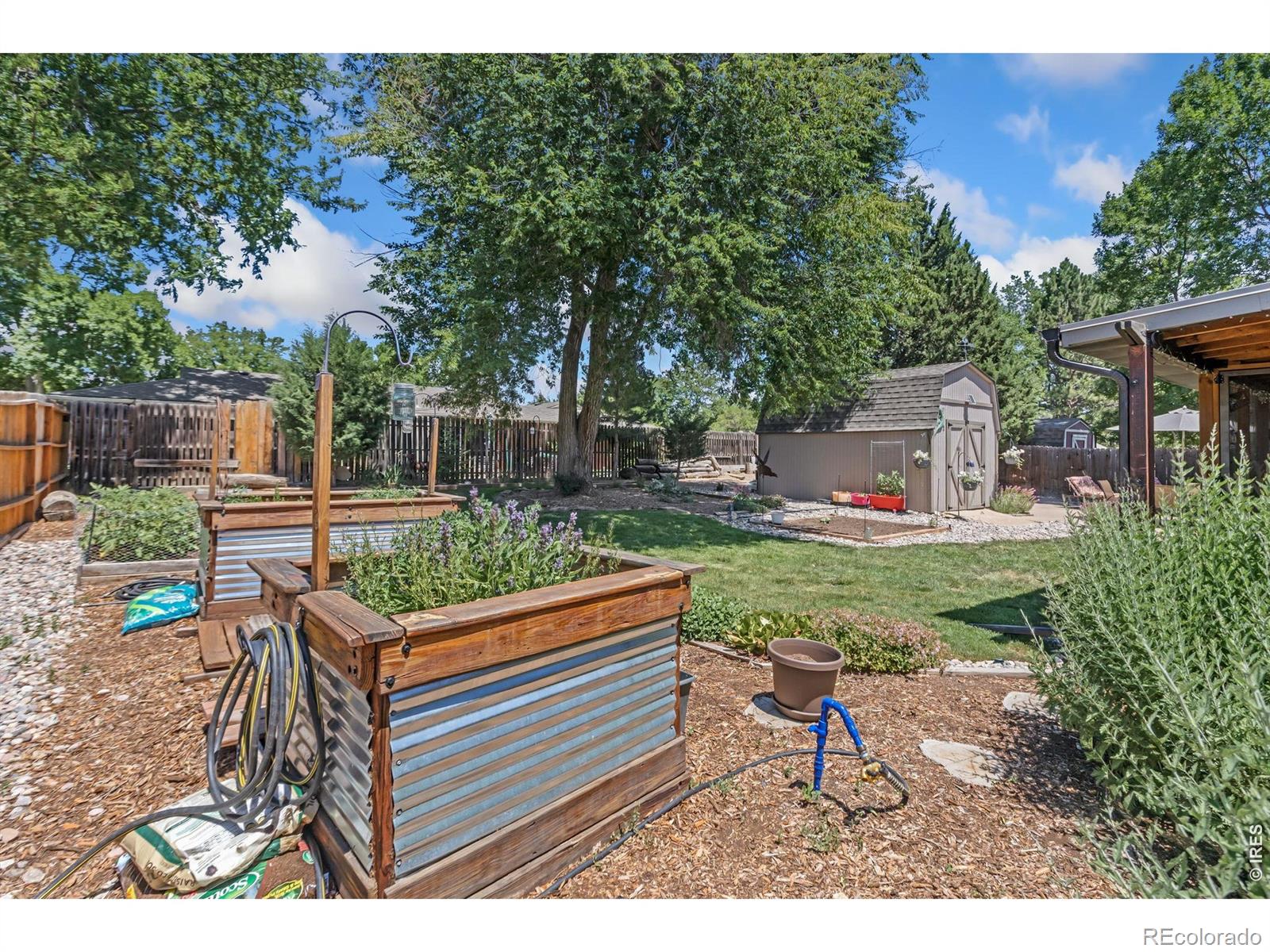 MLS Image #24 for 1017  cottonwood drive,windsor, Colorado