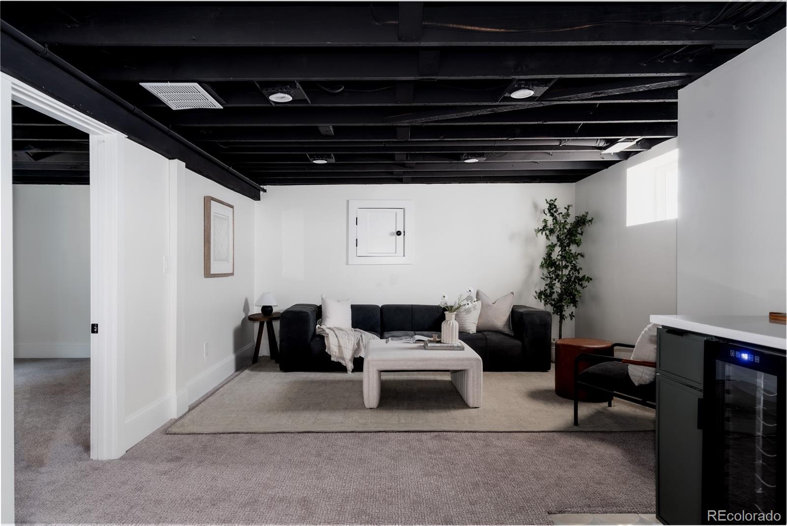MLS Image #18 for 3323  josephine street,denver, Colorado
