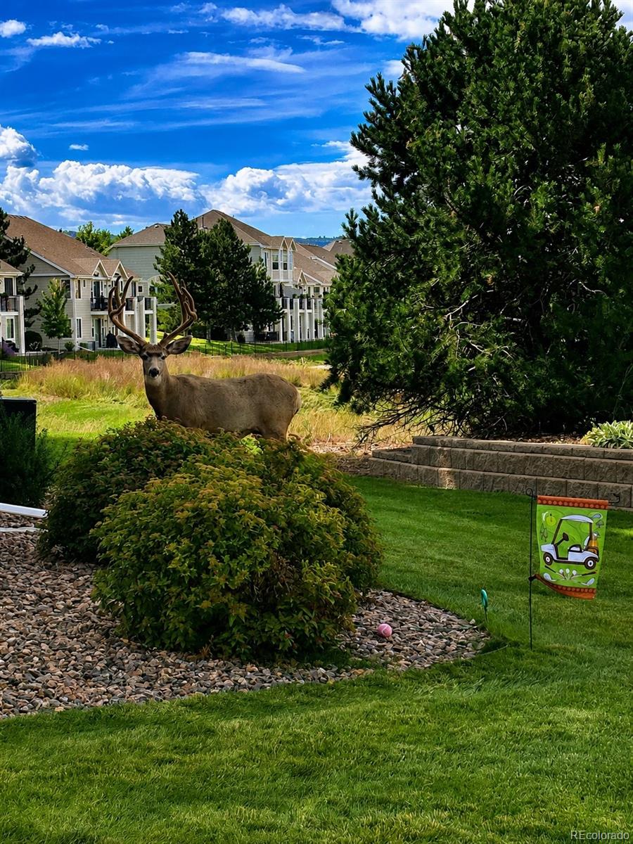 MLS Image #38 for 2933  newport circle,castle rock, Colorado