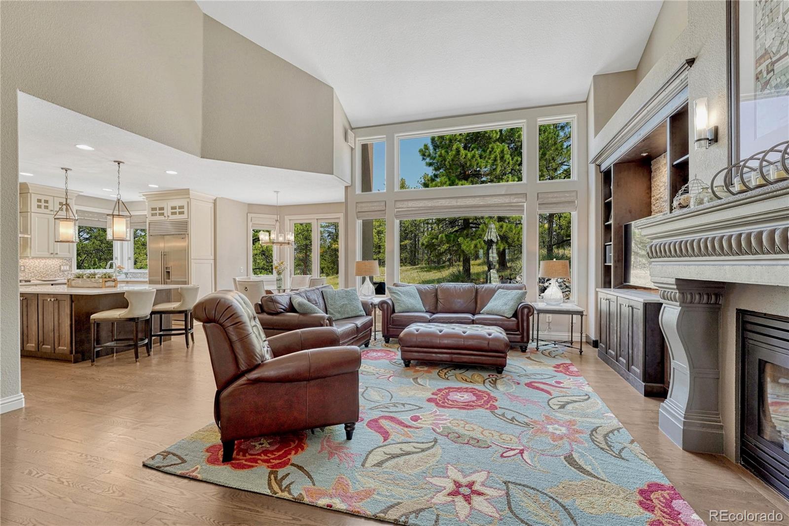 MLS Image #12 for 8409  gopher court,parker, Colorado