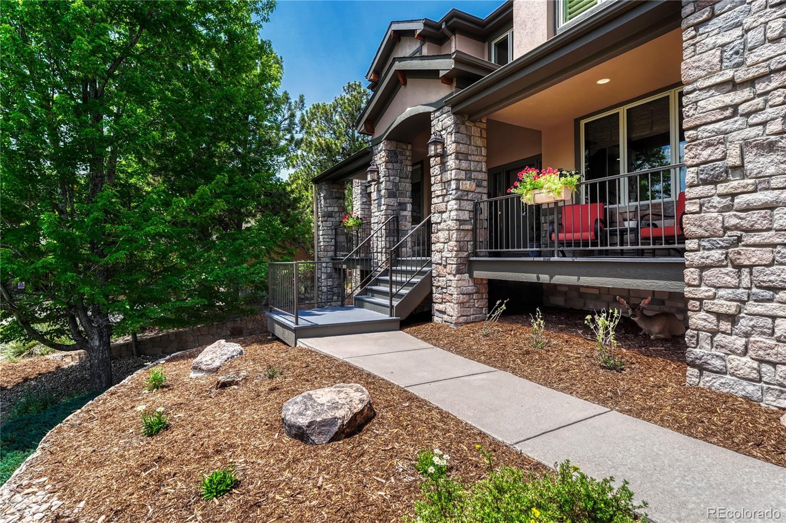 MLS Image #2 for 8409  gopher court,parker, Colorado