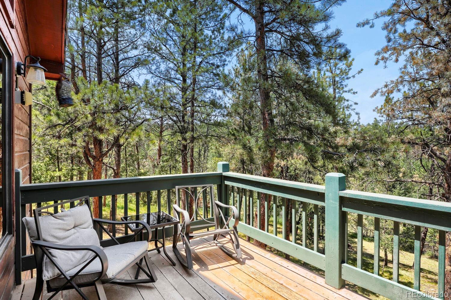MLS Image #19 for 715  mockingbird trail,bailey, Colorado